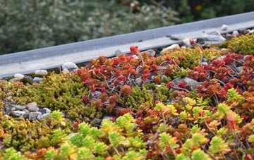 the cost of Staffordstown green roof installation