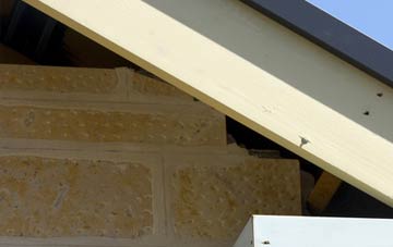 soffit repair Staffordstown