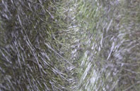 Staffordstown fibreglass roof work